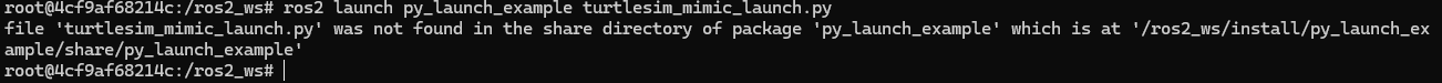 launch file not being able to be executed when in another directory path.