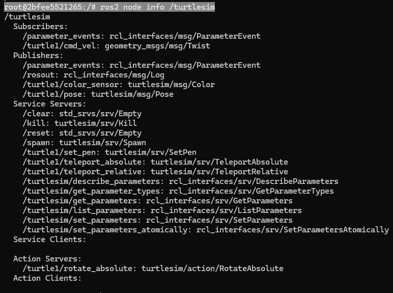 Executing ROS2 node info.